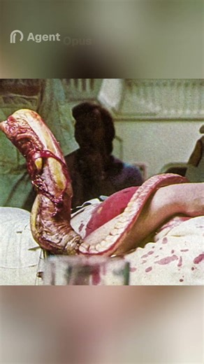 They Didn’t Tell Her This Would Happen… (Alien 1979) #allaboutcinema #movie #actionthrillerfilm