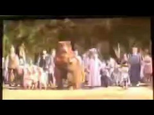 shrek 2001 dvd menu and play movie