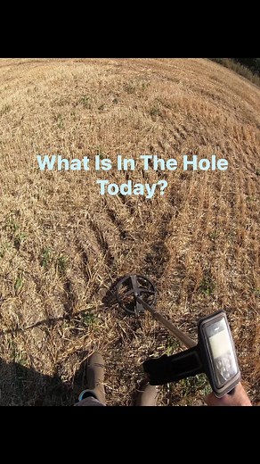 Daily Digs- What Is In The Hole Today? #metaldetecting #treasure #dailydigs #treasurehunt | DailyDigs