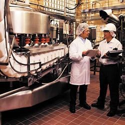 Food Safety Audit, Food Safety Auditors in India