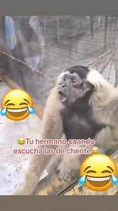 Mas cuando se pasa de copas el hombre se emociona | Briones Are