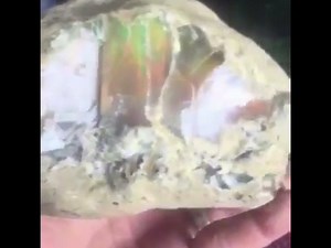 Ethiopia Opals on Reels