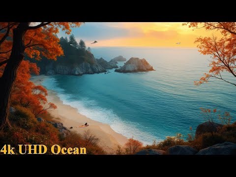 Private Beach 4k UHD