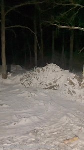 The wolves were howling tonight! 🩷 ✨👩🏻‍🦰✨ #wolves #littleredridinghood #pleasedonteatme #haunting #socool #naturelovers #winter #manitoba | Jennifer Greaves