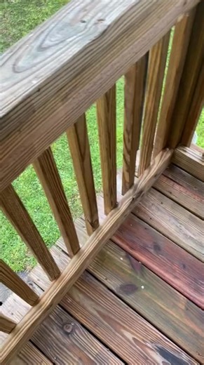 4.5K views · 61 reactions | #Rabbit eating the bird food. | Melissa Stack | Facebook