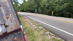 27 reactions · 3 comments | SENORITA 3 year old gaited molly , extremely solid mind , absolutely amazing mule and very gaited | Max Bishop | Facebook