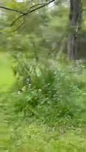 Cooper & Sig on the trails! ❤️ | Cozy Inn Pet Resort - Plum | Facebook