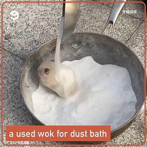 318K views · 1.1K reactions | repurpose household items for hammy. | 9GAG | Facebook