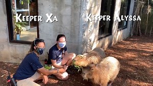 IT TAKES A ZOO Happy National Zoo Keeper Week! | Chattanooga Zoo