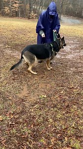 Nature trail walk with Barney and Kona 🐾💕😊 | Tuscarora's Country Club for Dogs