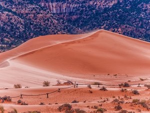 Utah Teen Dies When Tunnel He Dug Collapses At Coral Pink Sand Dunes