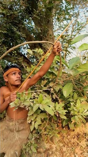 Hunter Suddenly Spots Prey Above Perfect Focus #Hunting #Wildlife #Focus #Forest
