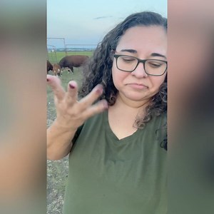 Update on our pregnant mini cow!!!! #farming #cow #asl #deaf #signlanguage | Deaf Garcia Family