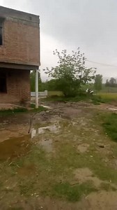 237 reactions · 51 shares | #Commercial Building  available on #Rent at #Tulbagh #Pampore Building will be Properly Documented for Rent Purpose Having 16 #Rooms with 600 sqft each Room Site is currently located at Calm place with proper #Electricity facility #Water and #Road Connectivity Building can be used for #School / #Dairyfarm / #Poultryfarm / Commercial unit or something else you want . Interested Persons can contact us on #9797111604 | KashmiriyaT | Facebook