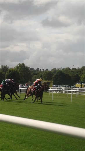 FORT VEGA 🏰 wins the Mallow Handicap for Rory Cleary and Sheila Lavery | Cork Racecourse Mallow