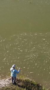 Dry Fly Fishing #sageflyfish #simmsflyfishing | Ryan Mock