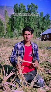 Zamindari | Kalakar Baradari