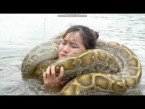 Once Again Snake Vs Girl scene ( squeeze and wrapped )