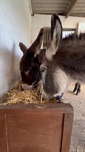 Sam Cannon Art on Reels