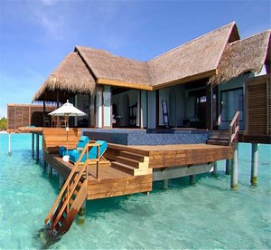 [Hot Item] Cottage Synthetic Thatch Roofing Tile Plastic Material Waterproof Outdoor Houses Leaves Roof