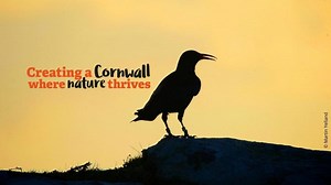 Cornwall Wildlife Trust