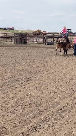 Annie’s been working hard on some new tricks to get ready for the @prorodeocanadaofficial season thanks to her coach @piperyule | Levi Simpson Diamond S Rope Horses