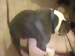 BFI - Lara & Maxine Horse