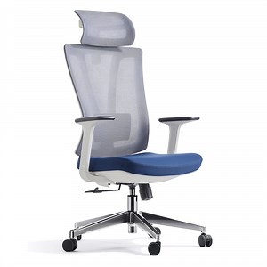 [Hot Item] Professional Factory Igh Back Executive Mesh 360 Swivel Ergonomics Office Chair