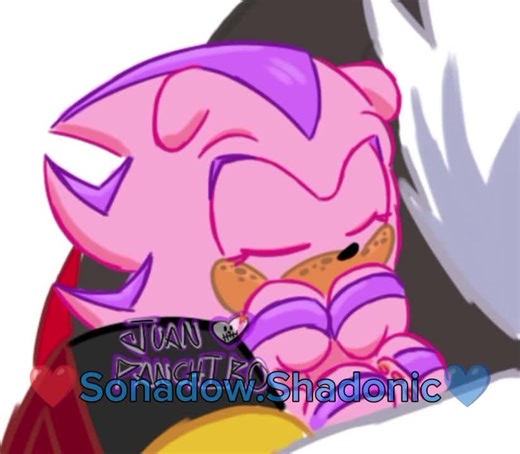 Exploring Sonadow: Sonic and Shadow's Unforgettable Bond