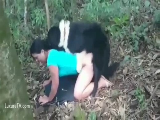 Woman getting fucked by a dog outdoors caught on camera