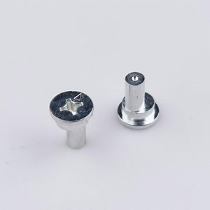 [Hot Item] Customized Factory Price Custom Doors Windows Rivet Eccentric Flat Head Shoulder Rivet Eccentric Solid Rivet Stainless Steel Rivet