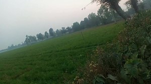 Kotha Kal shonda namey_ #explorertitu #explorepoety | Explore titu | Facebook