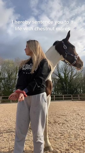 Life with Chestnut Mares: Bonding Moments