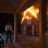 Fotos de Corey Fogelmanis