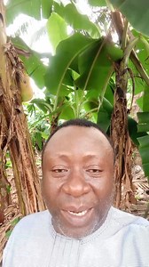 Comment Faire Baisser Sa Tension Artérielle, Nettoyer Le Mauvais Cholestérol Dans, Booster Son Système Immunitaire, Avoir Également Une Digestion Fluide. Voici La Solution Dans Cette Vidéo. Contact 2348133751423 Dr Hilaire Nasser F | Traitement aux plantes naturelles