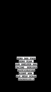 77K views · 4.3K reactions | ZERO DOG FOOD AND ZERO SCRAP MEAT ...