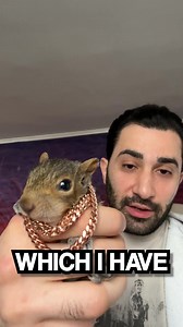 32K views · 1.1K reactions | SHMOOPY GETS A ROSE GOLD CHAIN!!!! #shorts | Cent-Years | Facebook