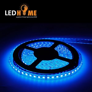 [Hot Item] 12V 24V Flex Light Strip SMD LED 5050 60LEDs RGB RGBW Waterproof Strip Light