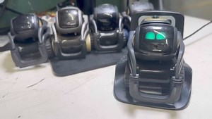Our Vector brings out the love in people and he gives it back ten fold | Digital Dream Labs