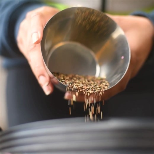 11 reactions | Mine site #rehabilitation and forest restoration are...