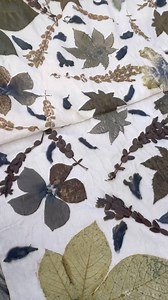 12K views · 304 reactions | July ရဲ့ မိုးစက်တွေကြား...