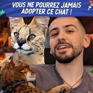 On a rencontré Christine, elle nous a présenté son Serval ! un GROS chat 🤯😂😂 | Joyca