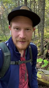 1.1K views · 43 reactions | Happy Slime Mold Sunday! Today we flash...