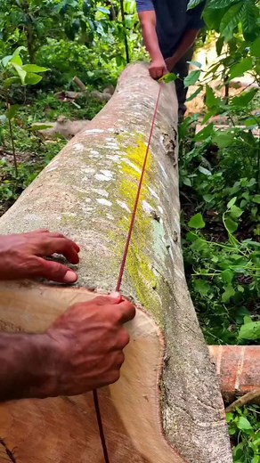 Pro Woodworkers Cutting Perfect Boards by Hand with a Chainsaw