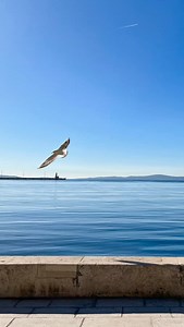 Visit Split on Reels