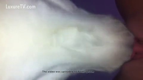 Deepest Dog Lick Ever