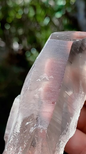 ⃤⃤⃤⃤⃤⃤⃤⃤⃤⃤⃤⃤⃤⃤⃤⃤⃤⃤⃤⃤⃤⃤⃤⃤⃤⃤⃤⃤⃤⃤⃤⃤⃤⃤⃤⃤⃤⃤⃤⃤ 𝙲𝚛𝚢𝚜𝚝𝚊𝚕𝚕𝚒𝚗𝚎 𝙲𝚘𝚍𝚎𝚜 ⃤⃤⃤⃤⃤⃤⃤⃤⃤⃤⃤⃤⃤⃤⃤⃤⃤⃤⃤⃤⃤⃤⃤⃤⃤⃤⃤⃤⃤⃤⃤⃤⃤⃤⃤⃤⃤⃤⃤⃤ These stunning Vega Starbrary Smoky Lemurian Quartz will be a part of our ongoing clearance sale!✨ So many gorgeous crystals have already been posted for the sale, which you can check out in my “Clearance Sale” story highlight.🤗 ⑅⑅⑅ Let’s go over the energy of these crystals! These Smoky Lemurians are here to assist us to ground our own light—necessary in these pivotal times! They