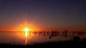 A beautiful video compilation recorded around Lake Menindee and Lake Pamamaroo by Jamie Billing. Share a video of your favourite spot with the ABC - bit.ly/mybackroads | ABC Broken Hill