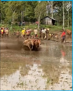 Instant regret | Samachar Plus -Jharkhand/Bihar