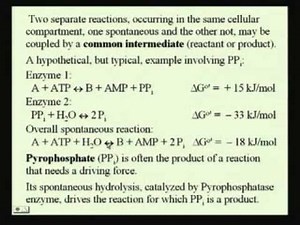 Mod-01 Lec-18 Bioenergetics and Glycolysis